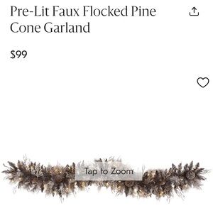 Frosted Pinecone Holiday Garland with Lights